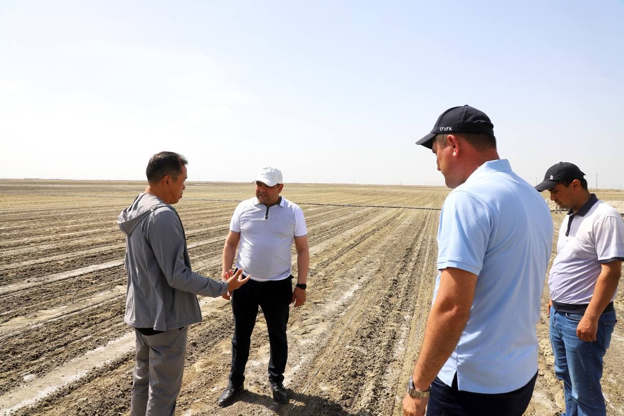 Buxoro tumani: “Qumsulton” cho‘l massivida zamonaviy agrotexnologiya asosida paxta yetishtirilаdi