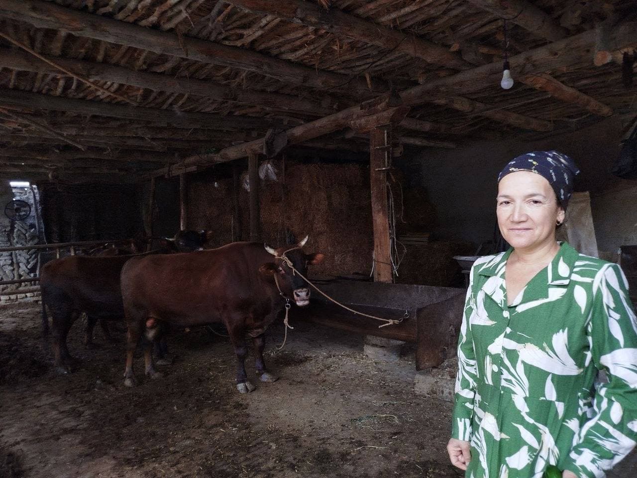 Buxoro tumani: “Yobuxona” qishlog‘ida ham tomorqadan baraka topayotgan xonadonlar bor