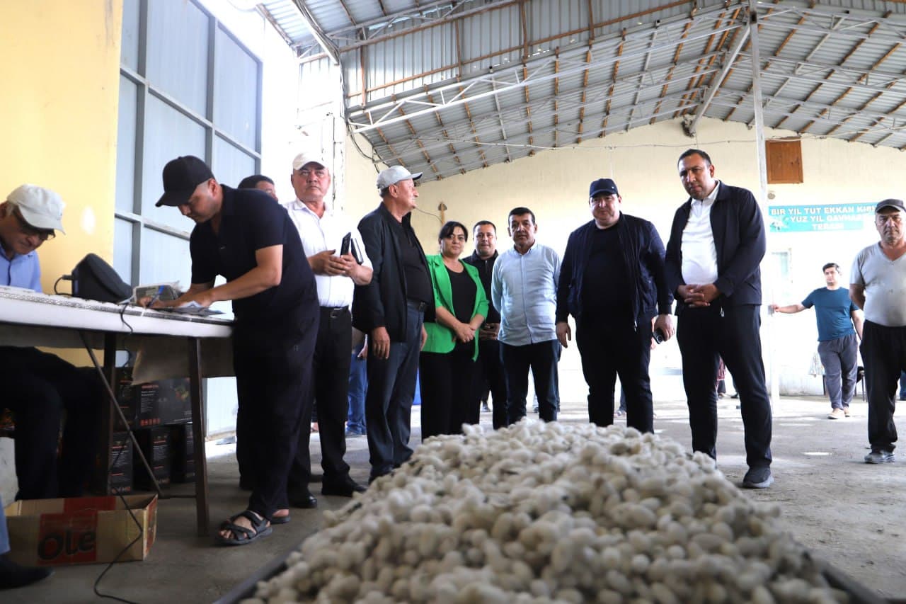 Shofirkon: pilla qabul qilish maskani tobora gavjum ko‘rinish olmoqda