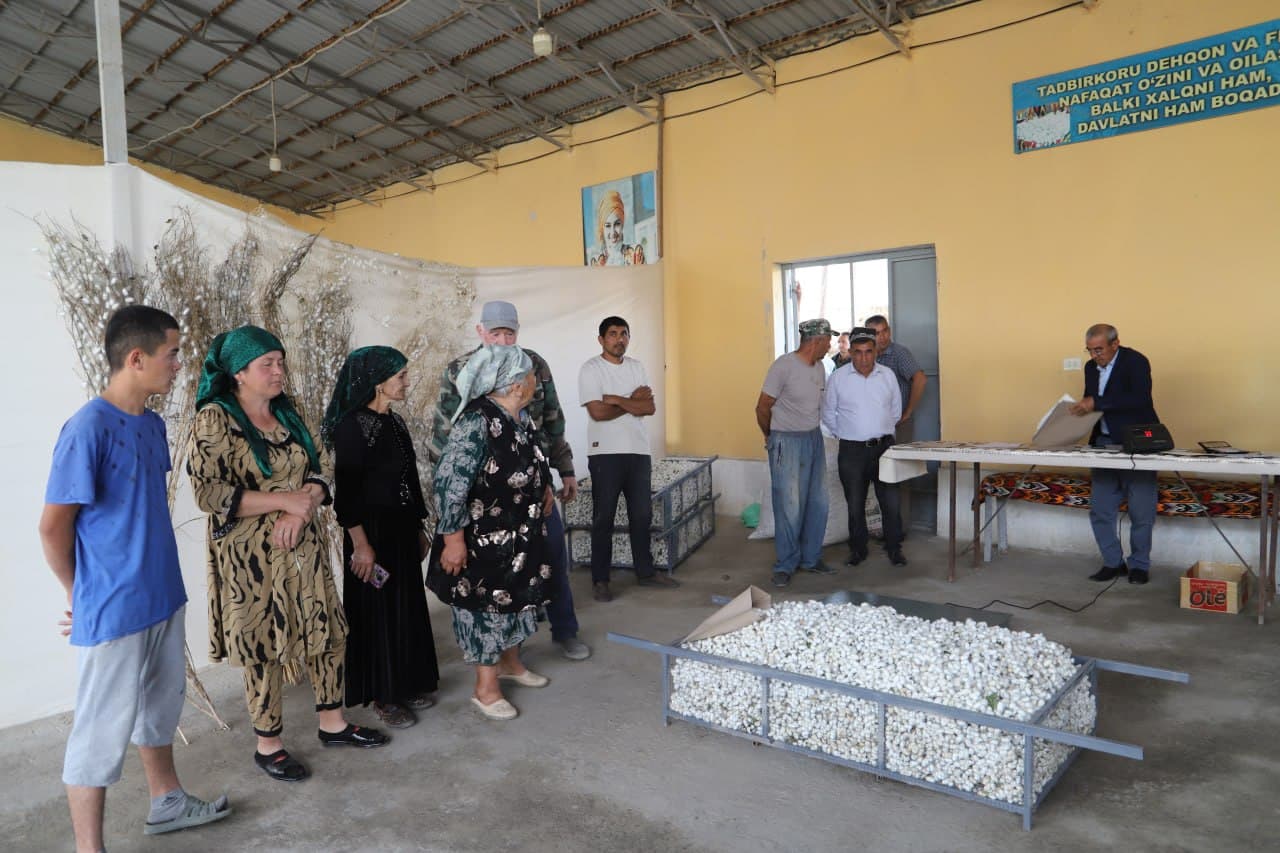 Shofirkon: pilla qabul qilish maskani tobora gavjum ko‘rinish olmoqda