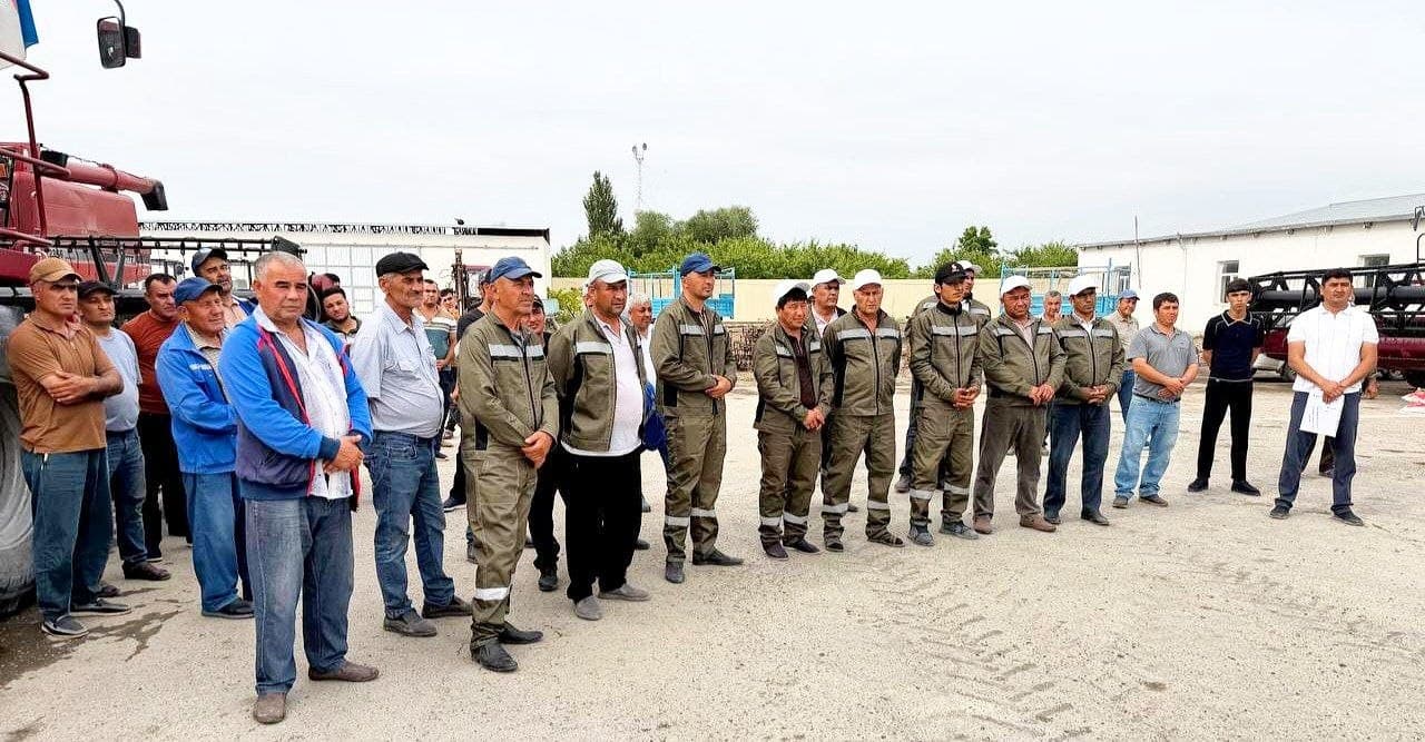 Romitan: g‘alla o‘rimi uchun 25 ta kombayn va yuk tashuvchi avtomashinalar shay qilinmoqda