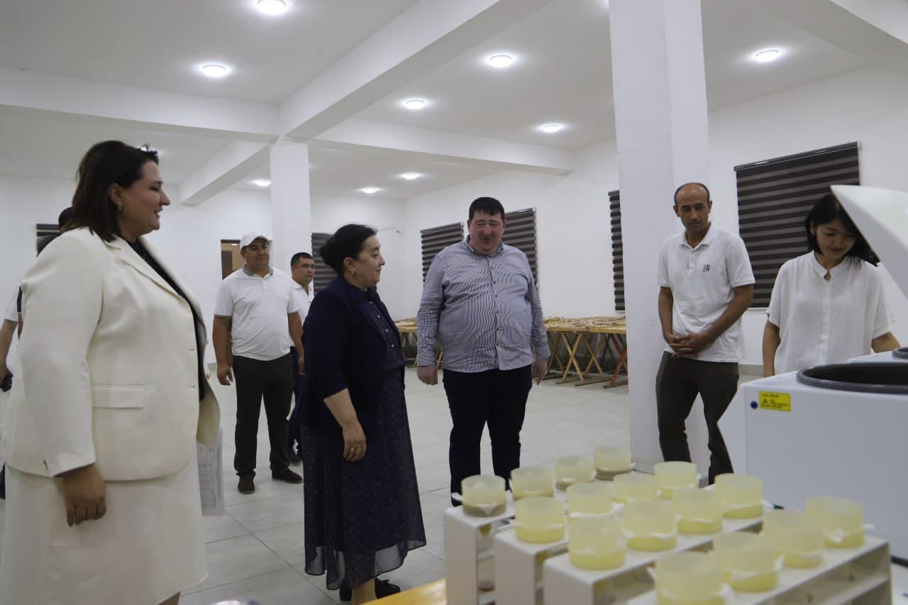 "Buxoro ipak gilam markazi" va “Romstar” korxonasi faoliyati—Bosh vazir o‘rinbosari diqqat-e’tiborida