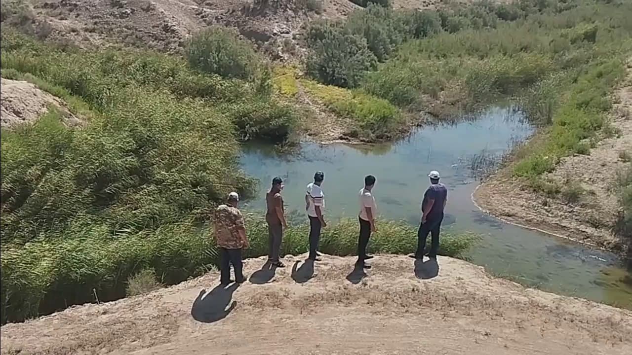 Qorovulbozor: o‘rmon-ovchilik xo‘jaligida hayvonot dunyosini asrash choralari ko‘rilmoqda