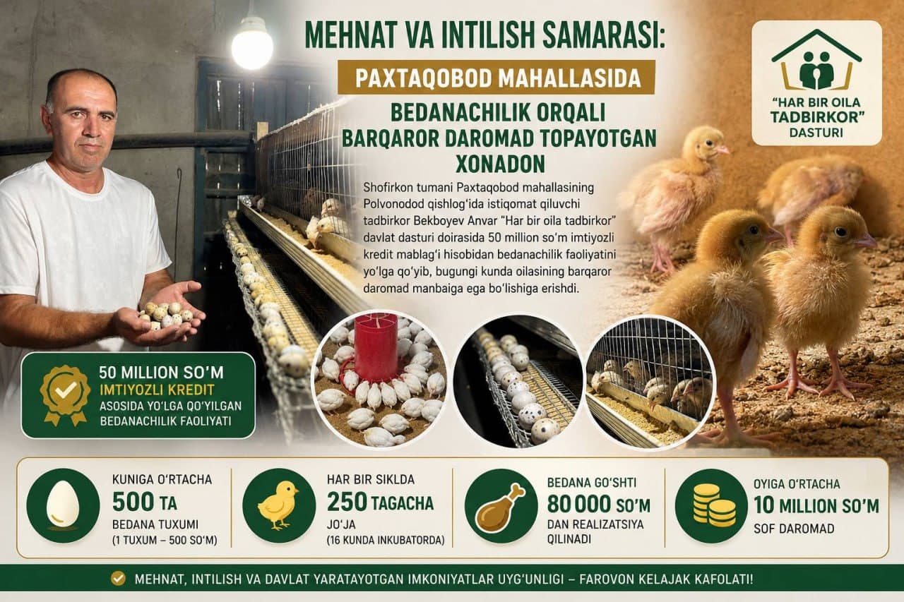 Mehnat va intilish samarasi: “Paxtaobod” mahallasida bedanachilik orqali barqaror daromad topayotgan xonadon