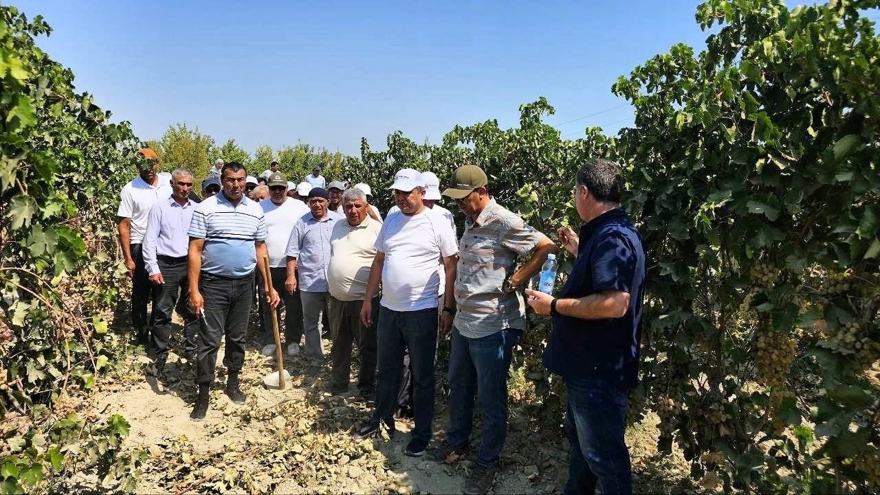 Romitanda intensiv bogʻ va tokzorlar barpo etish masalalari muhokama qilindi