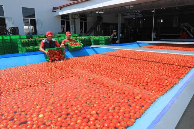 Jizzaxda “BMB AGRO PLUS” korxonasi ochildi