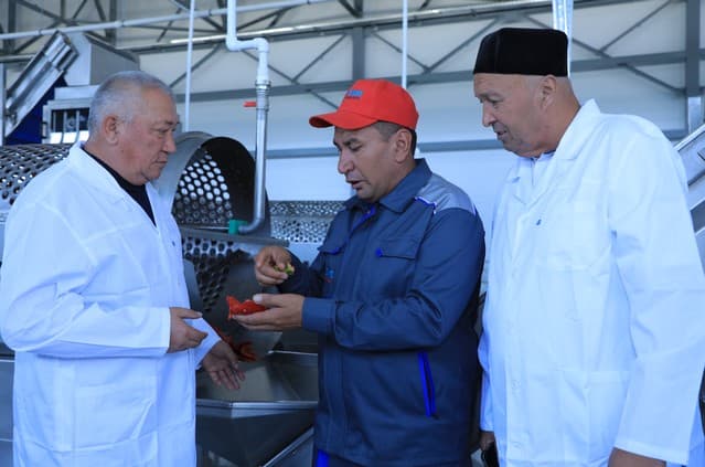 Jizzaxda “BMB AGRO PLUS” korxonasi ochildi