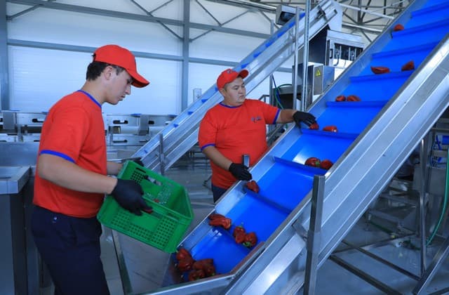 Jizzaxda “BMB AGRO PLUS” korxonasi ochildi