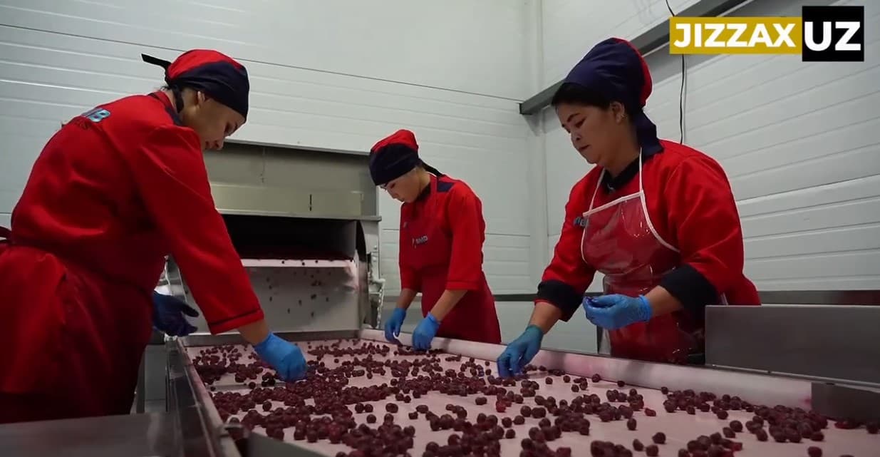 Videoreportaj: Mamlakatimiz iqtisodiyoti rivojlantirishda eng dolzarb masalalaridan biri eksport xajmini yanada oshirishdir