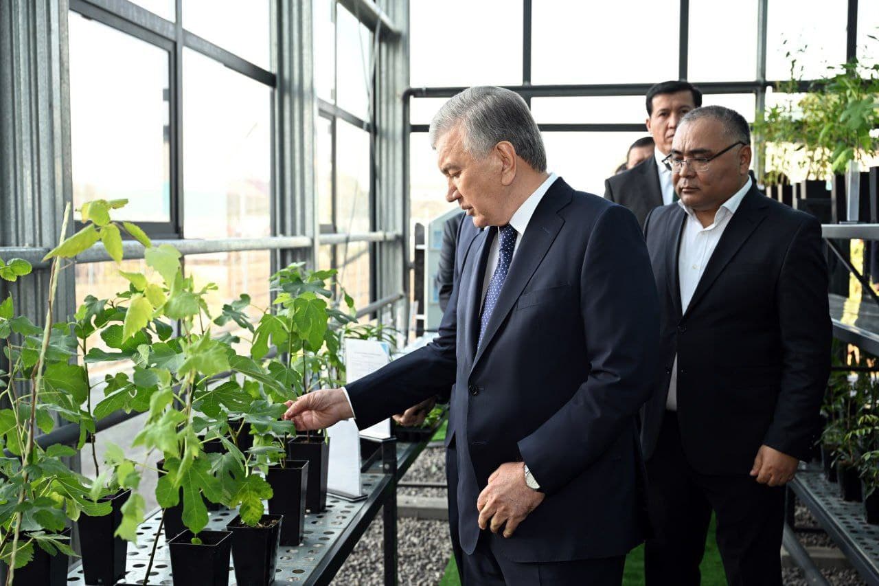 Улучшается качество услуг для сельскохозяйственной отрасли