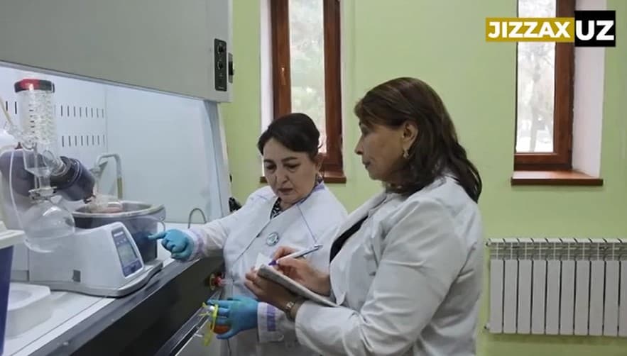 Videoreportaj: Jizzaxlik “O‘zbekistonning eng yaxshi olimasi” nufuzli mukofotiga loyiq deb topilgan olimasi haqida