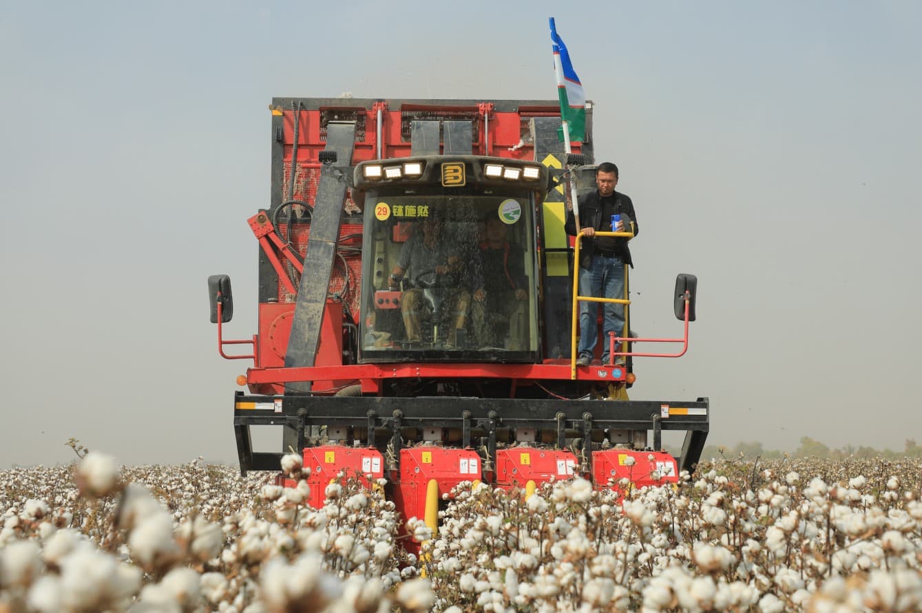 Hosildorlik 30 ming tonnaga ortadi