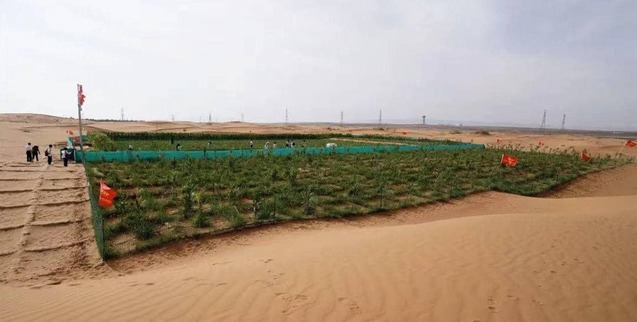 Jizzax delegatsiyasining Xitoydagi muzokaralarida yangi hamkorlik imkoniyatlari ochilmoqda