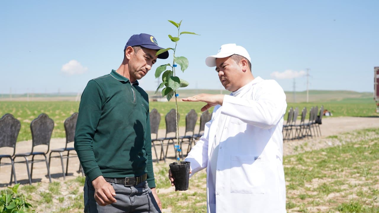 Видеорепортаж: Жиззах вилоятида замонавий интенсив гилос боғи барпо этилмоқда