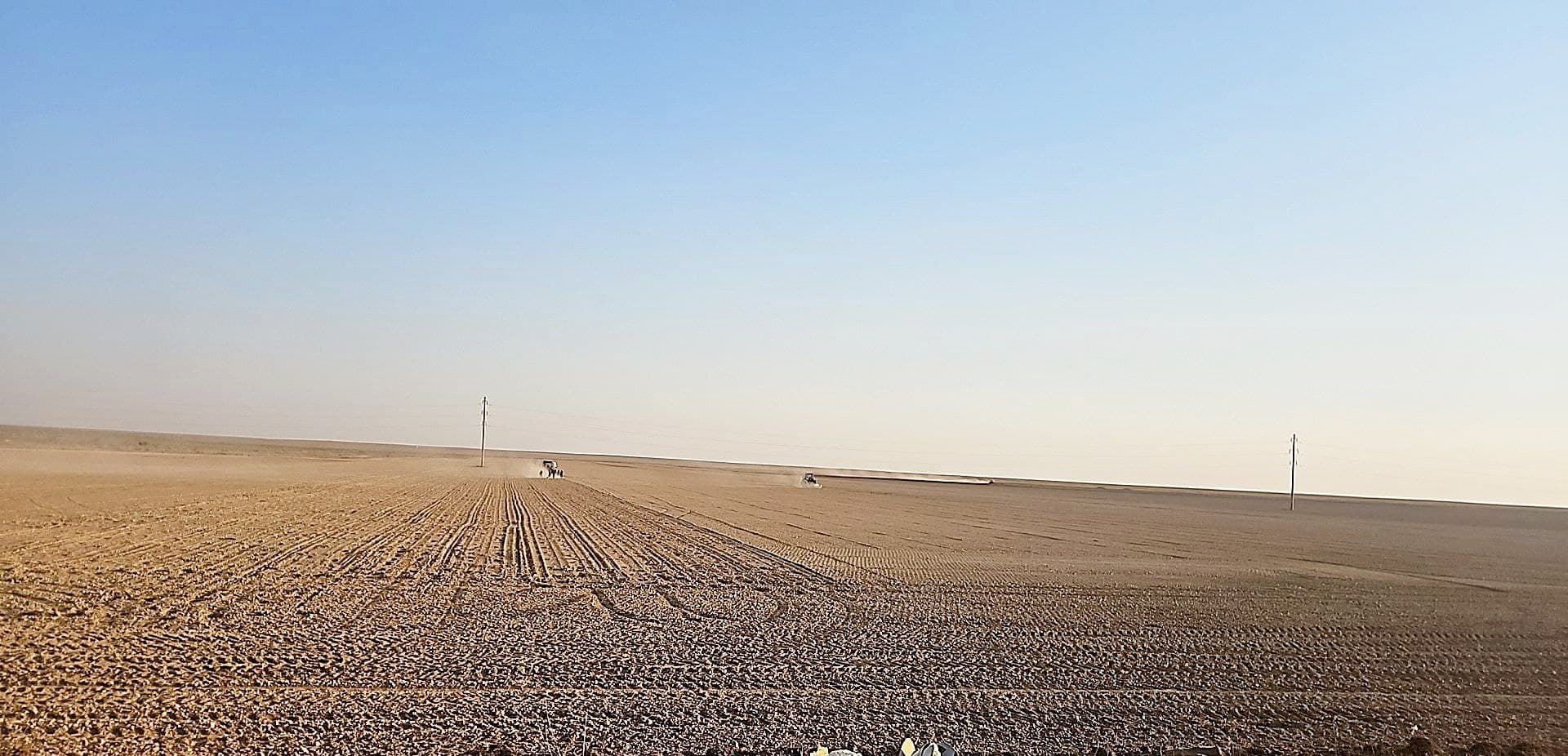 THE FIRST SEEDS WERE PLANTED IN THE PASTRY