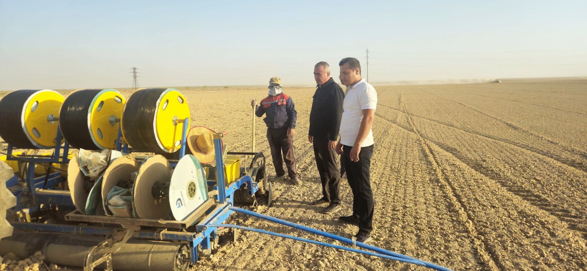 THE FIRST SEEDS WERE PLANTED IN THE PASTRY