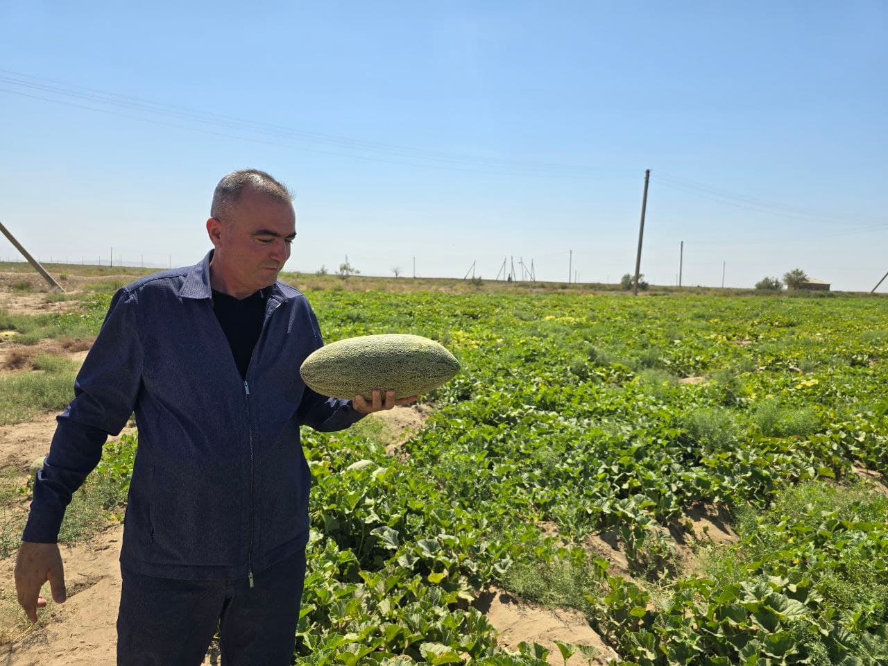 QIZILQUM BAG'RIDAGI BOBODEHQON