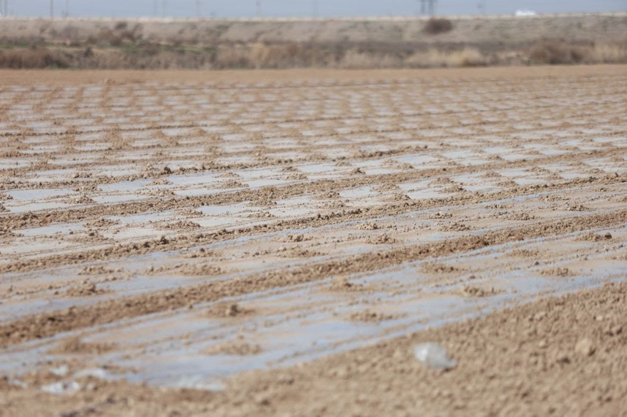 "KARMANA WORLD AGROTECH" MCHJ yer maydonlarida chigit ekish ishlari boshlab yuborildi