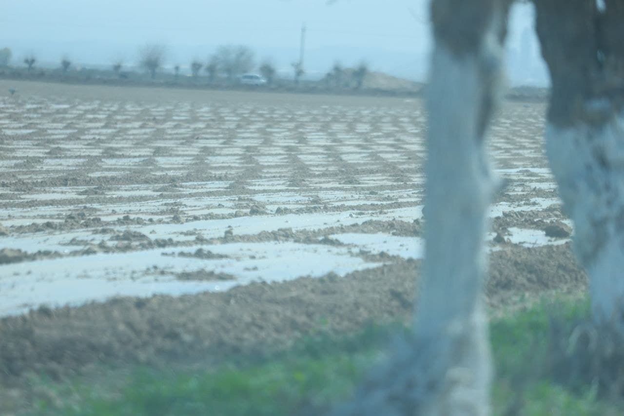 "KARMANA WORLD AGROTECH" MCHJ yer maydonlarida chigit ekish ishlari boshlab yuborildi