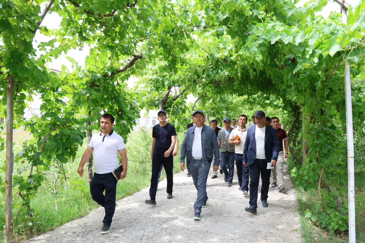 Ta’lim va mehnat uyg‘unligi: 10-sonli maktab faoliyati bilan tanishildi