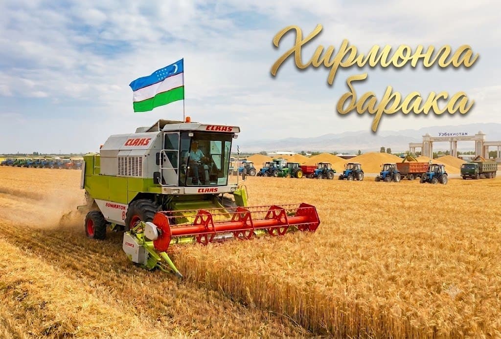 Navoiy viloyati g‘alla topshirish shartnomaviy rejasini bajardi!