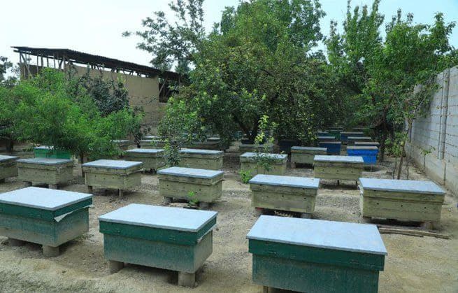 Kambag‘allikdan farovonlik sari