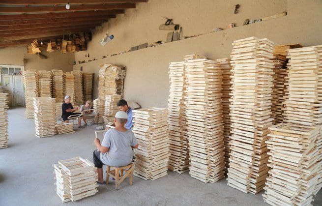 Kambag‘allikdan farovonlik sari