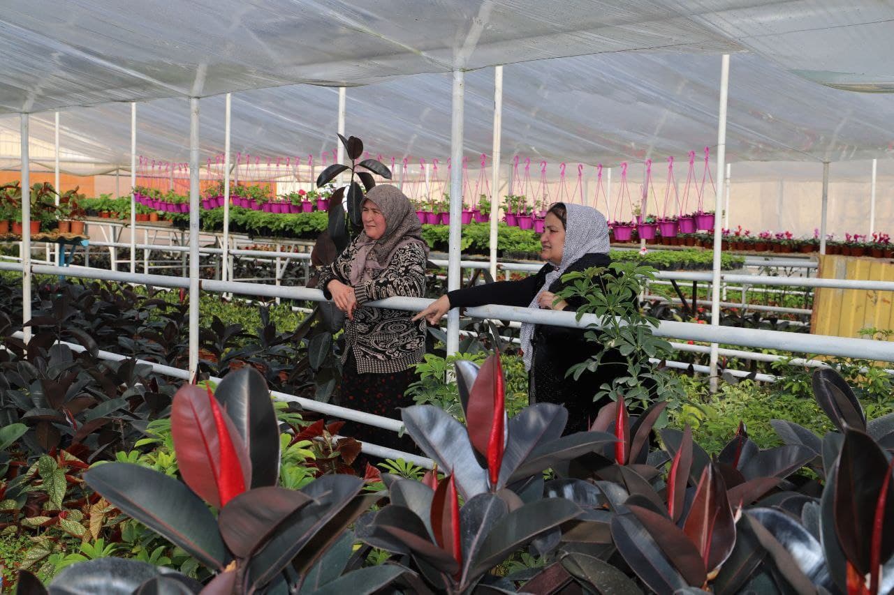 Kambag‘allikdan farovonlik sari