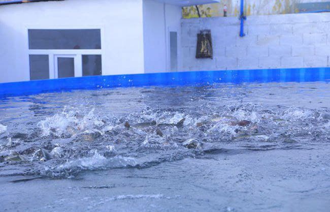 Kambag‘allikdan farovonlik sari