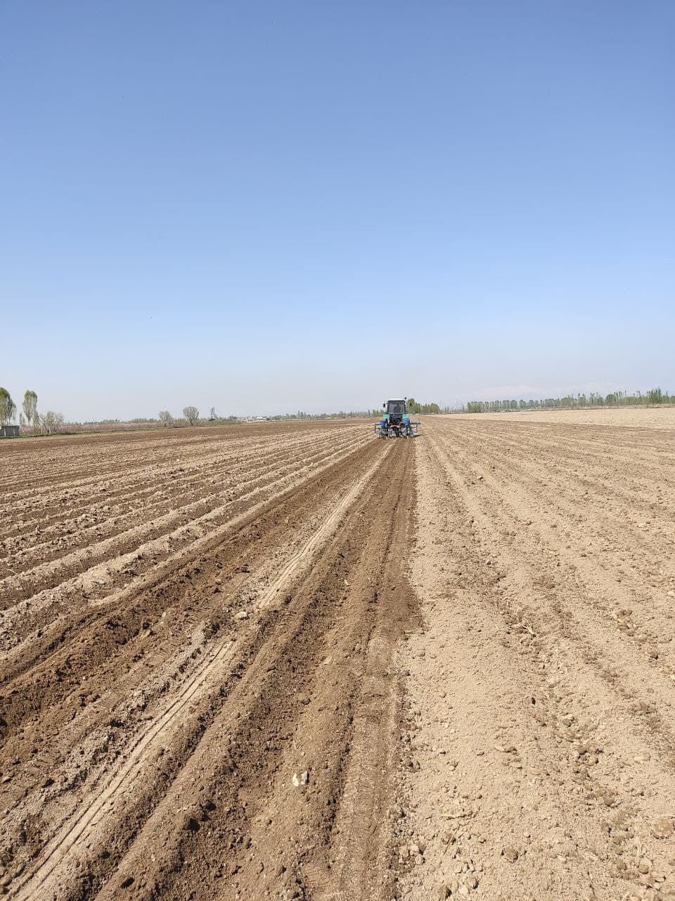 Далаларда иш қизғин давом этмоқда...