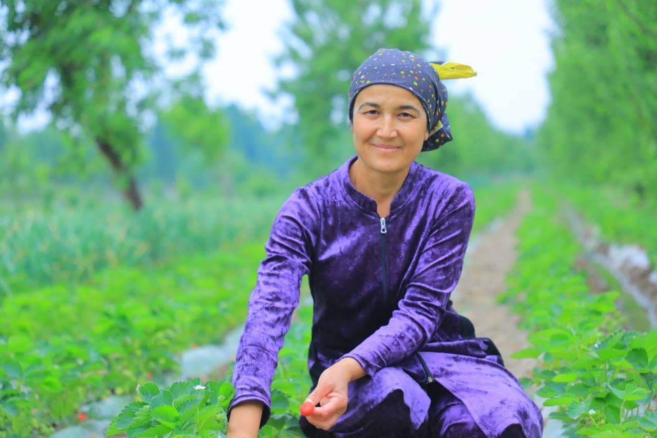 Qulupnay — Uchqo‘rg‘onning tashrif qog‘ozi