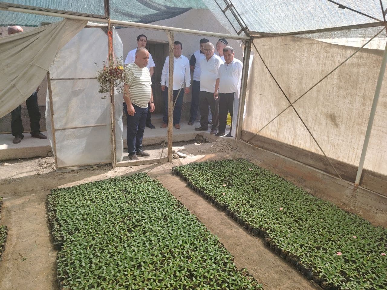 Цветущие махалли Намангана