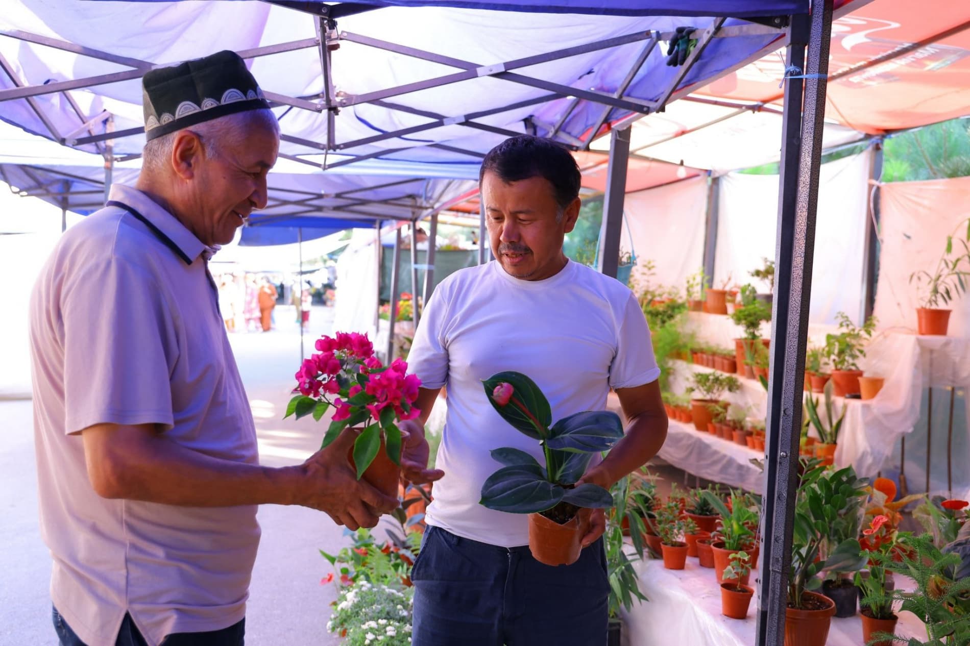 Халқаро "Гуллар фестивали" давом этмоқда, гулчиларнинг даромади ҳам ортмоқда