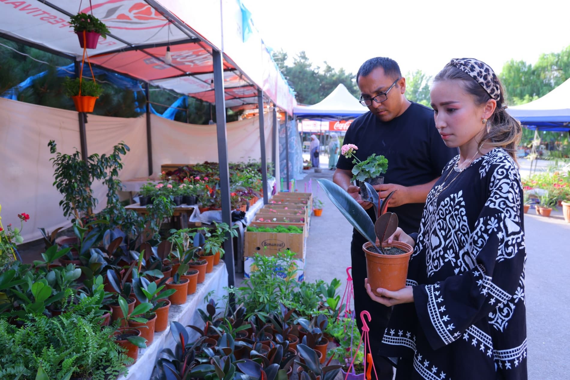 Халқаро "Гуллар фестивали" давом этмоқда, гулчиларнинг даромади ҳам ортмоқда