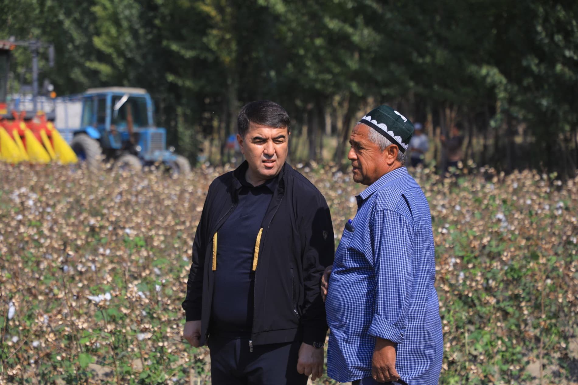 Мингбулоқда пахта йиғим-терими жараёнлари ўрганилди