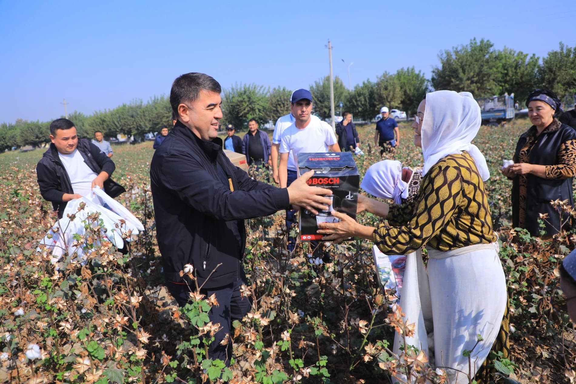 Мингбулоқда пахта йиғим-терими жараёнлари ўрганилди