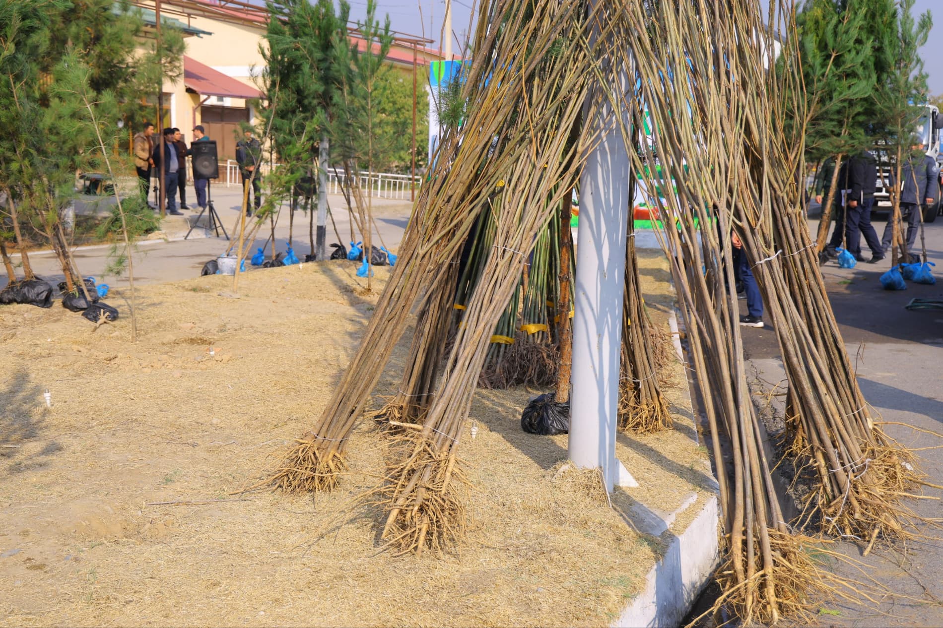 Тўрақўрғон туманидаги "Яшил макон" лойиҳасининг навбатдаги тадбирида вилоят ҳокими Шавкатжон Абдураззоқов иштирок этди.