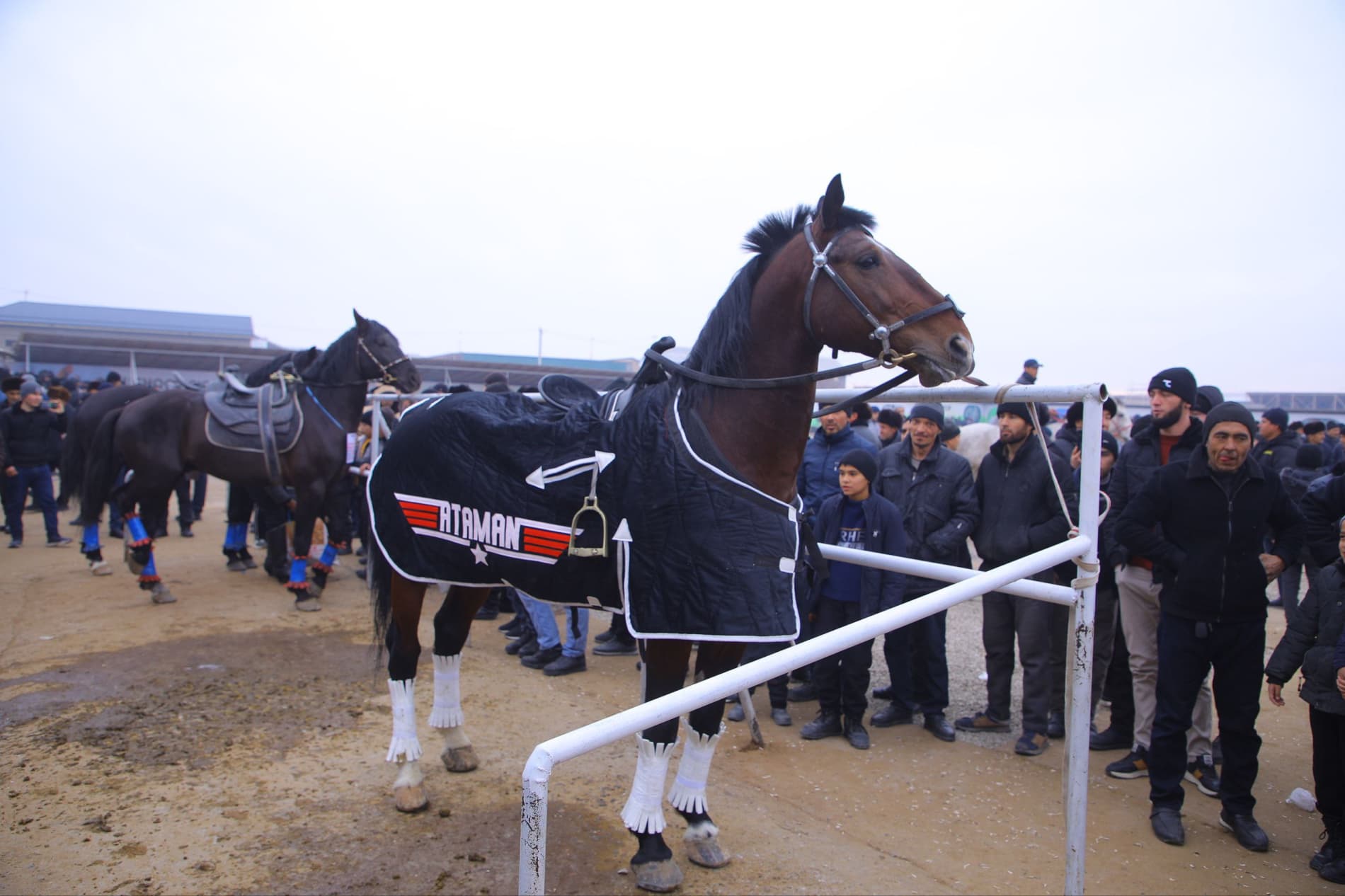 НАМАНГАНДА ИИИ ХАЛҚАРО “ЗОТДОР ҲАЙВОНЛАРИ ВА ПАРРАНДАЛАРИ” КЎРГАЗМАСИ ЎТКАЗИЛАДИ
