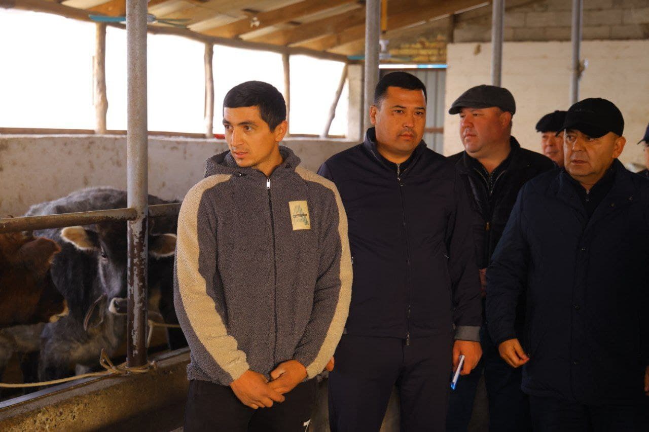 Chortoq tumanida oziq-ovqat xavfsizligini taʼminlashda chorvachilik salohiyati kengaytirilmoqda
