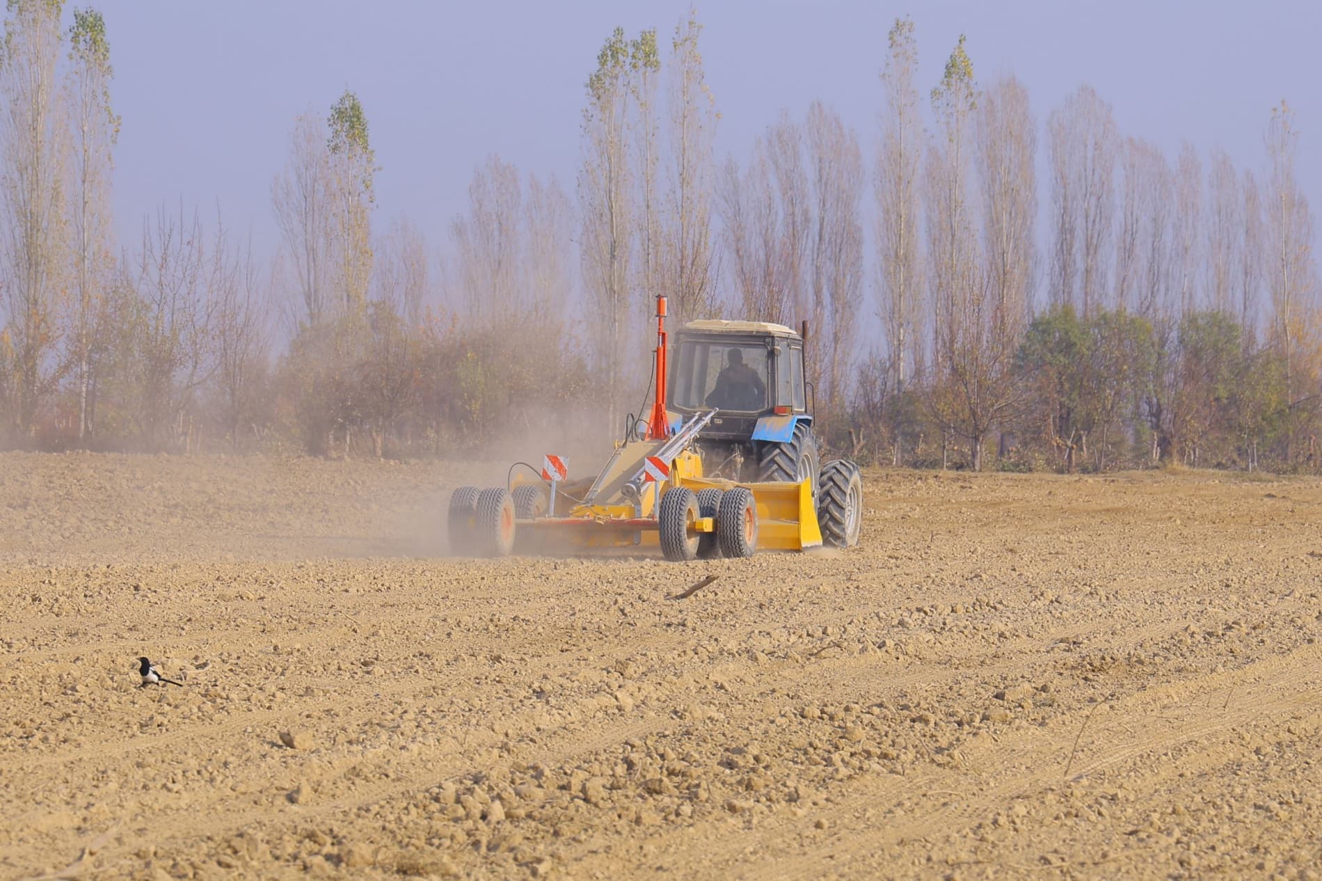 Эски боғлар тарихга айланди: Янгиқўрғонда интенсив олхўри боғи барпо этилмоқда