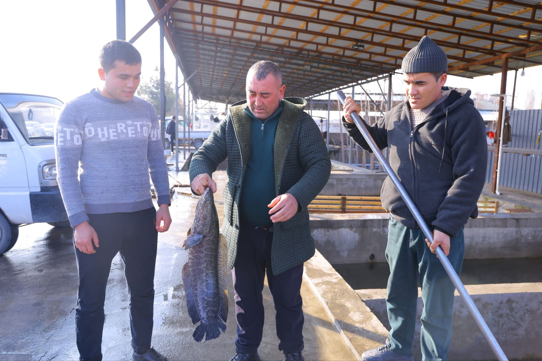 Norin tumanida xizmat koʻrsatish va turizm rivojlantiriladi.