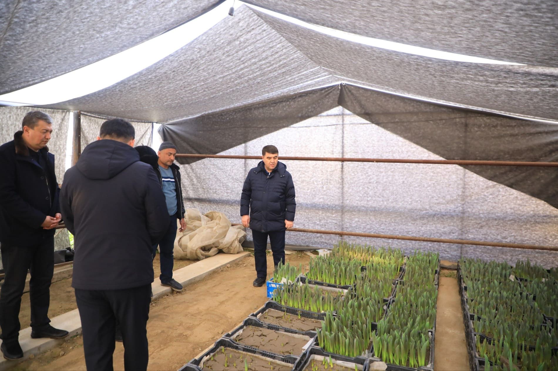 Цветоводы готовятся к юбилейному международному фестивалю