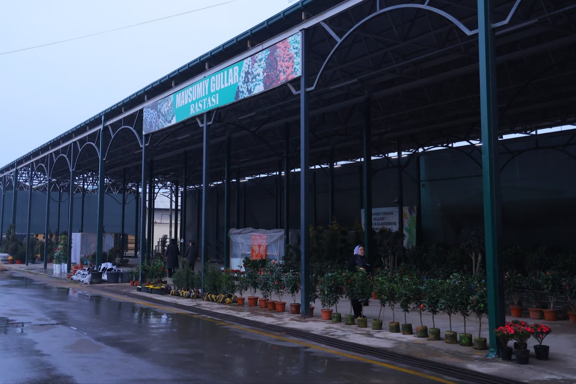 От махалли до мирового уровня: Наманган готовится к фестивалю цветов