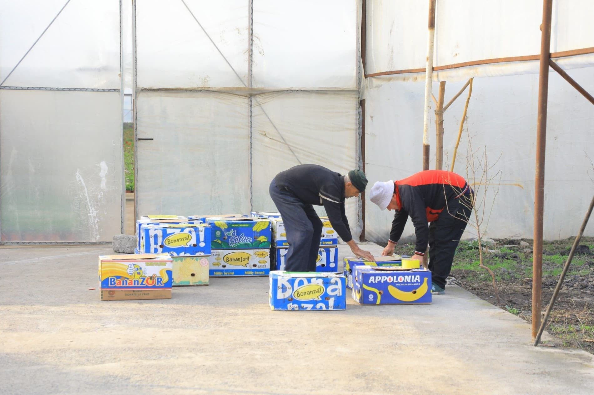 65-халқаро "Гуллар фестивали" маҳаллалардан бошланади