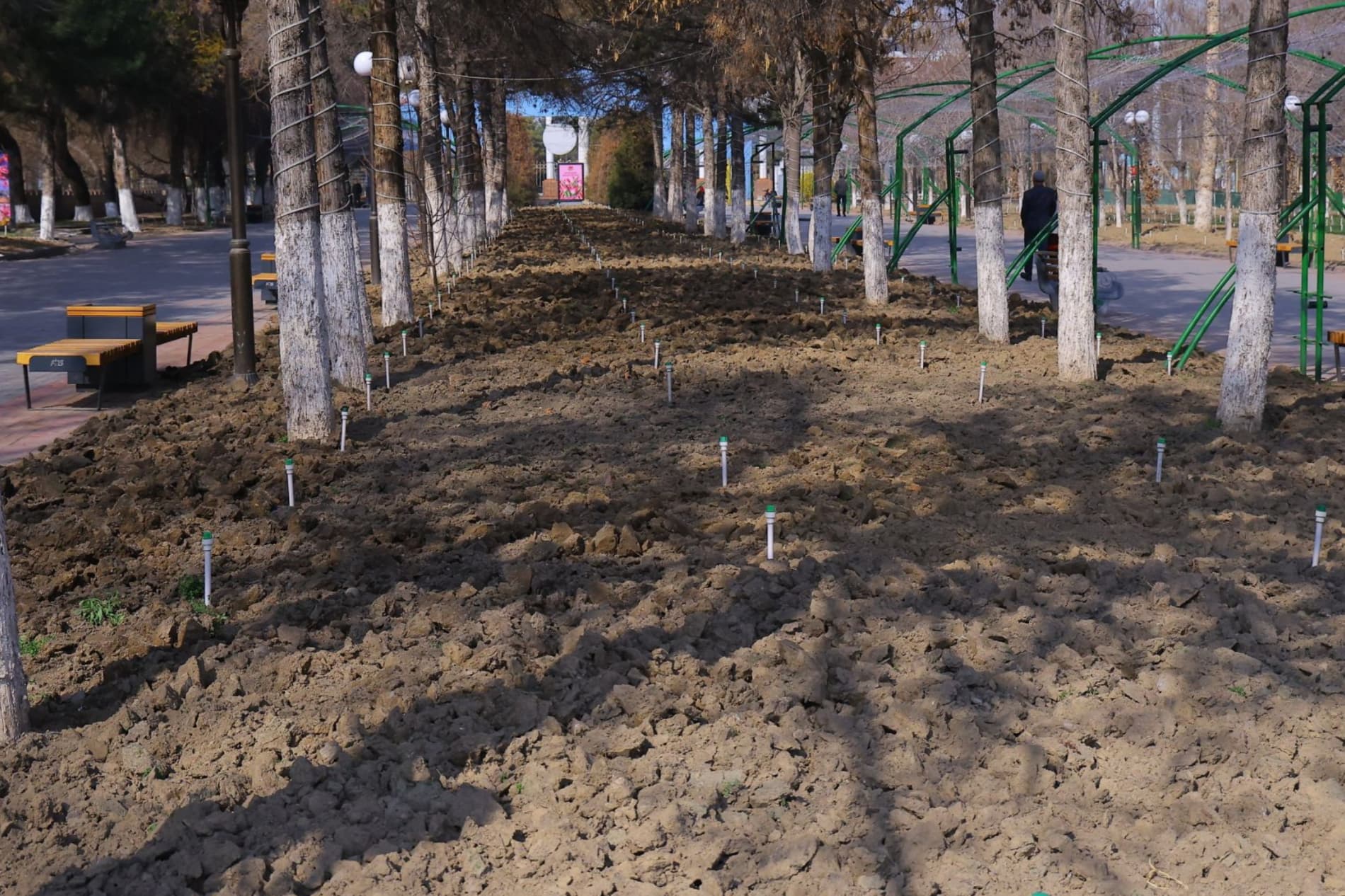 "Бобур боғи" янги қиёфада: 65-халқаро "Гуллар фестивали"га пухта тайёргарлик кўрилмоқда.