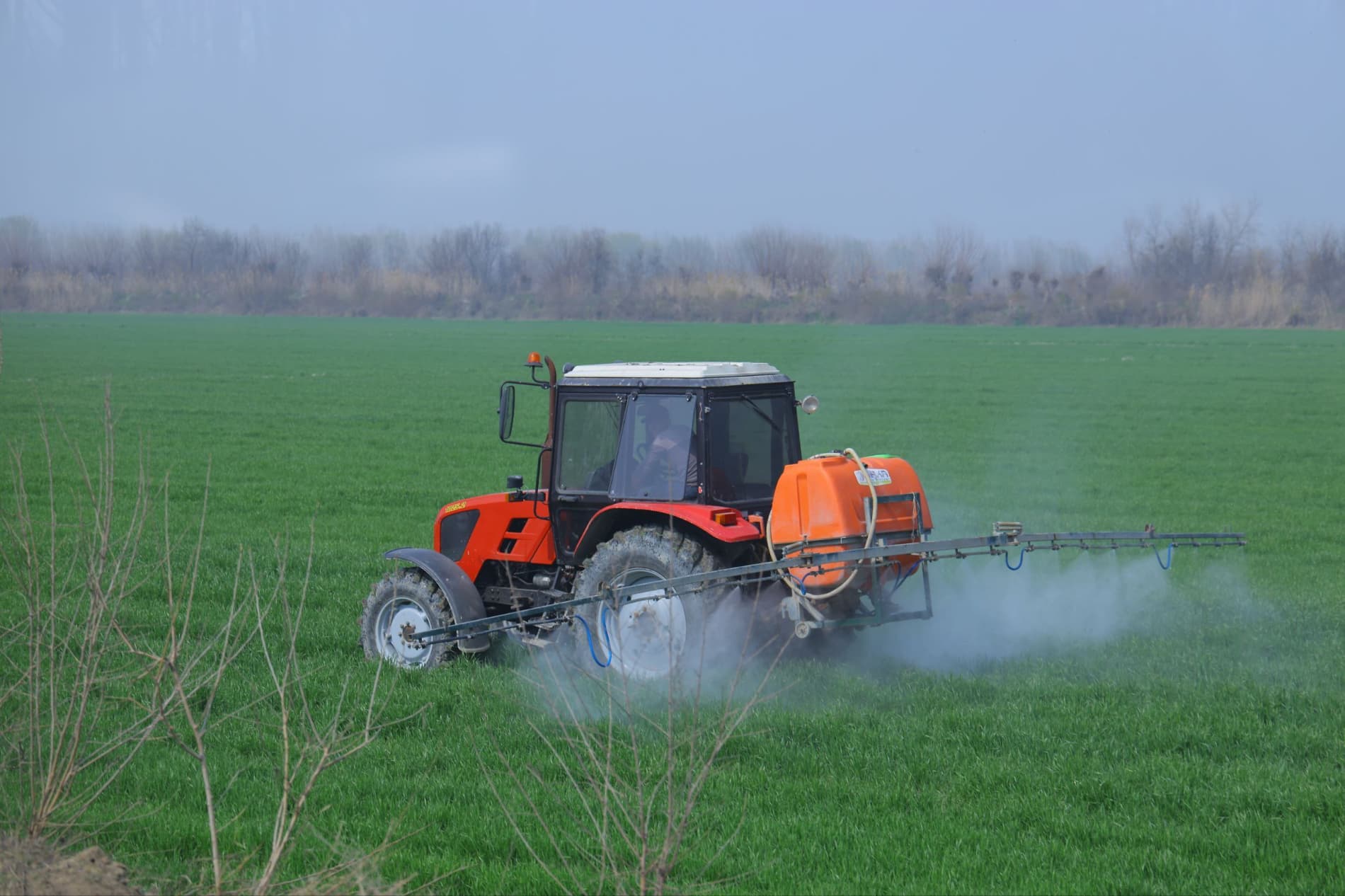 Чигит экиш — тез ва сифатли бажариладиган жараён.