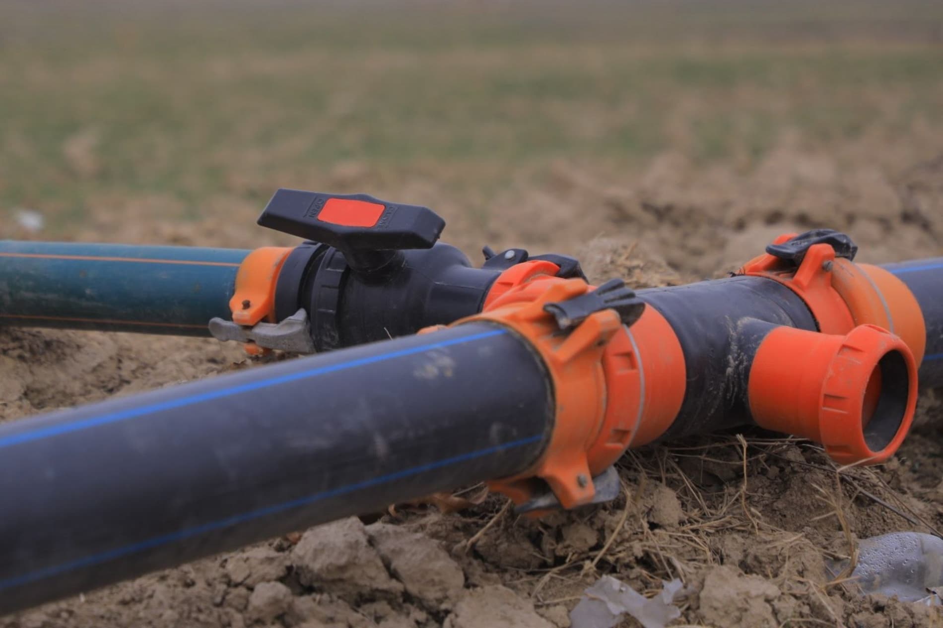 Чигит экиш — тез ва сифатли бажариладиган жараён.