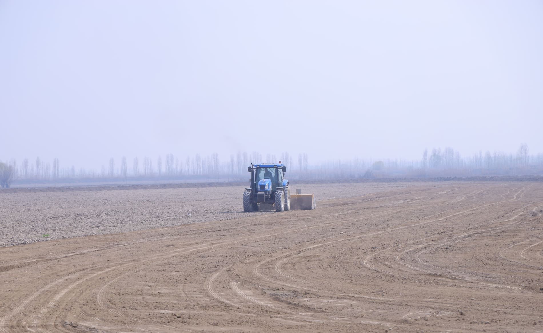 Чигит экиш — тез ва сифатли бажариладиган жараён.