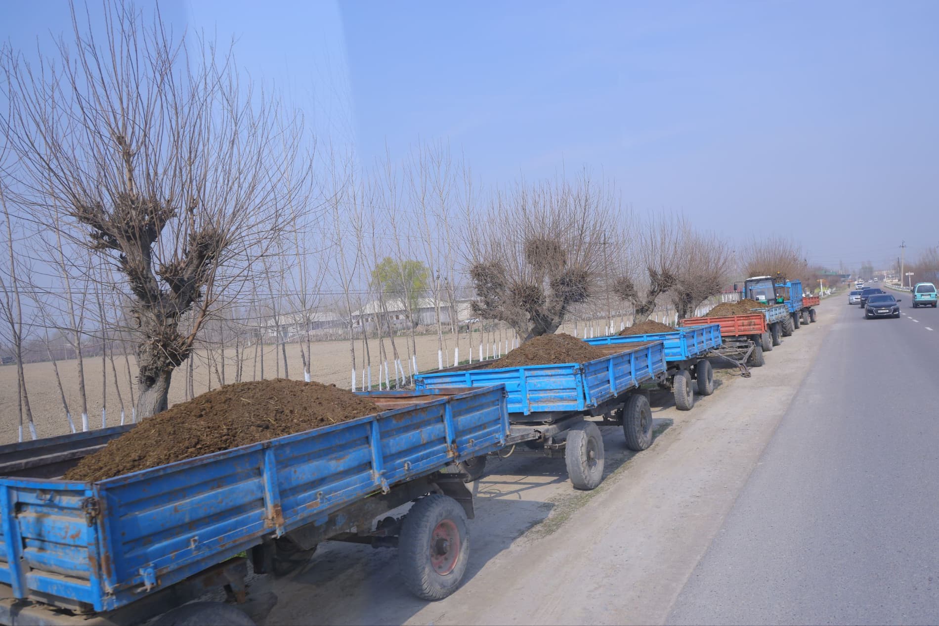 Чигит экиш — тез ва сифатли бажариладиган жараён.