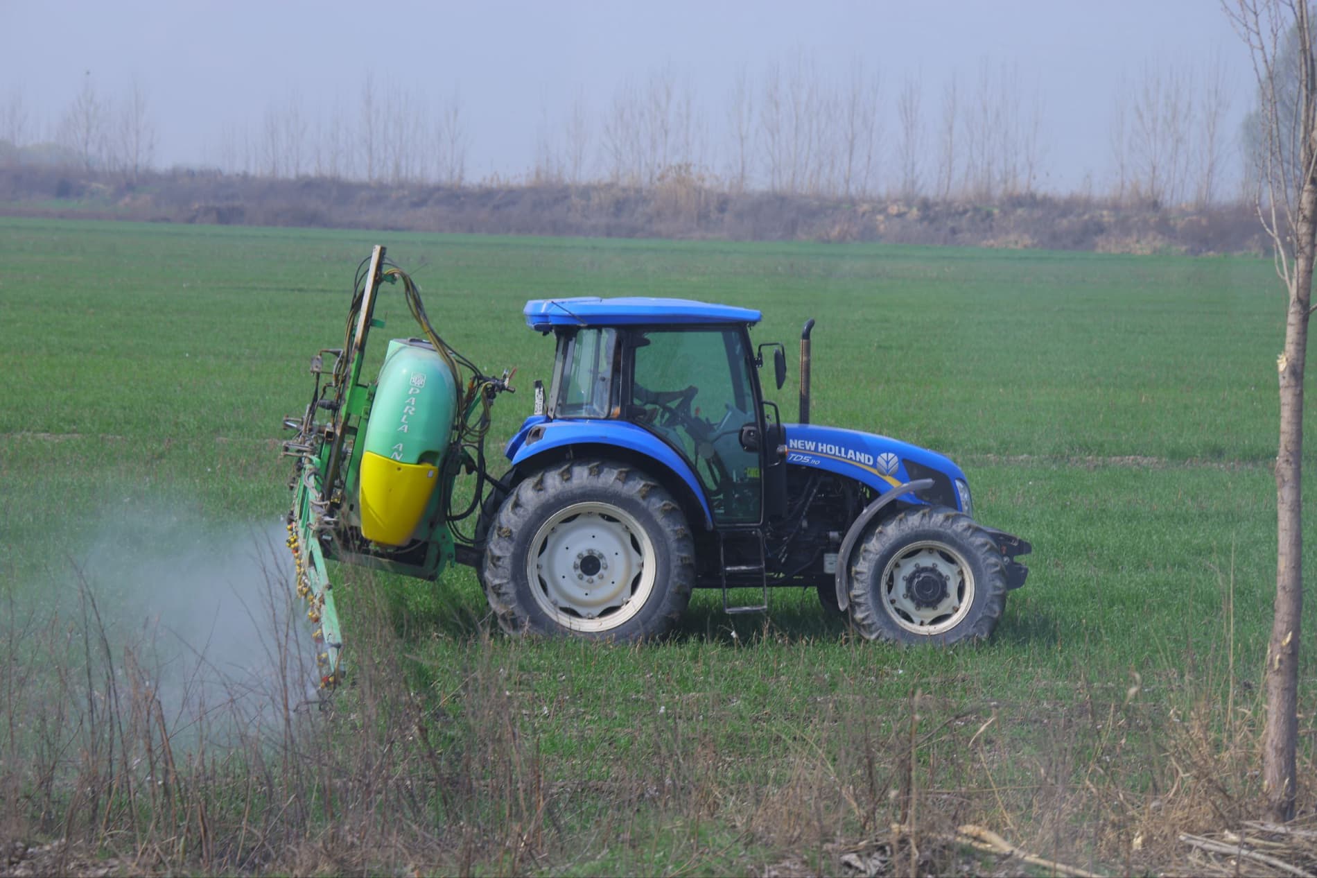 Чигит экиш — тез ва сифатли бажариладиган жараён.
